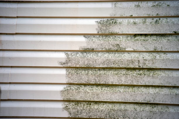  Ravena, NY Junk Removal Pros